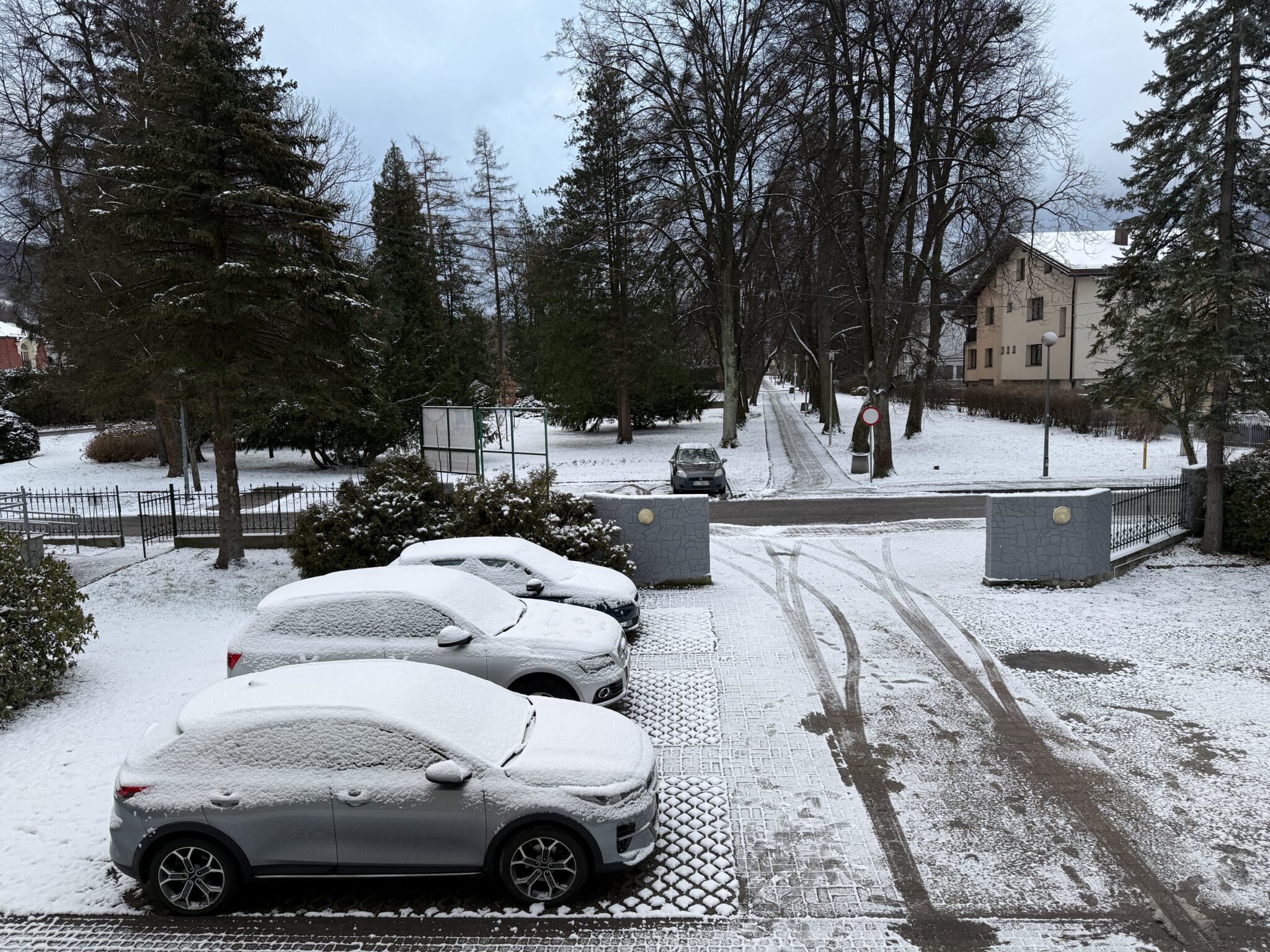 Autos im Schnee